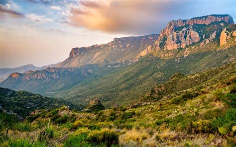 does texas have mountains