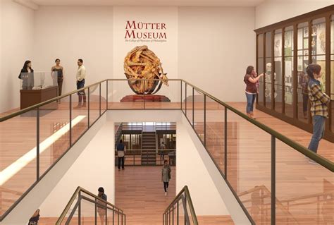 Does The Mutter Museum Have An Intact Nervous System