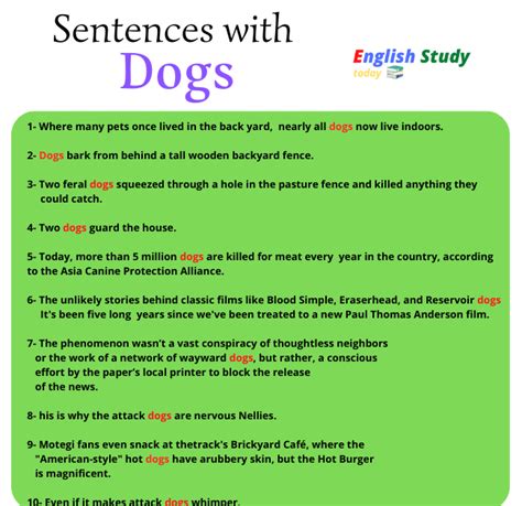 Dog 586 Published By Six Sentences Luanne Castle 5 Sentences About Dog - 5 Sentences About Dog