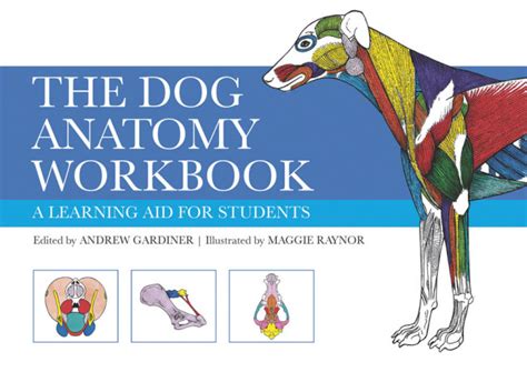 dog anatomy workbook a learning aid for students