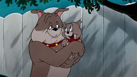 Dog And Jerry