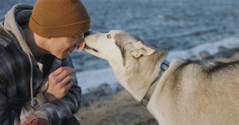 dog autobiographical statement