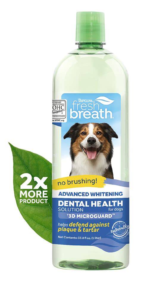 dog breath problem and solution lesson