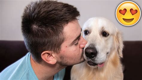 dog breed kisses youtube