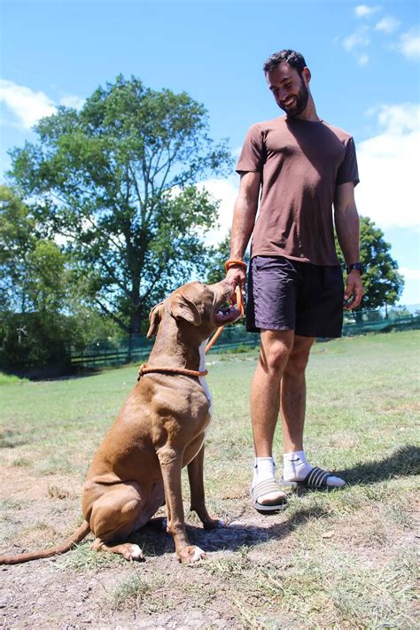 Dog Care Scoutingpages
