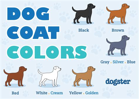 dog colors