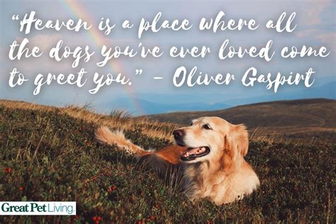 Dog Death Quotes