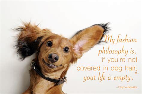 Dog Ear Quotes