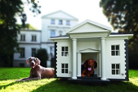 A dog house for humans