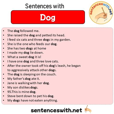 Dog In A Sentence Esp Good Sentence Like 5 Sentences About Dog - 5 Sentences About Dog