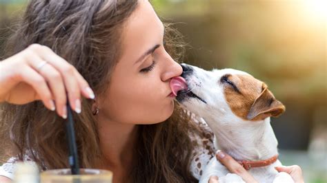 dog kissing face meaning pictures