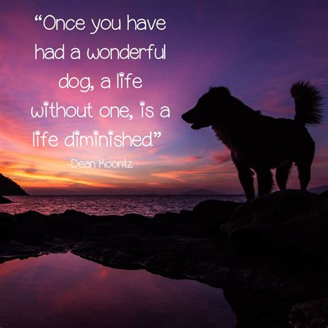Dog Loss Quotes