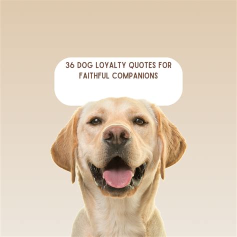 Dog Loyalty Quotes