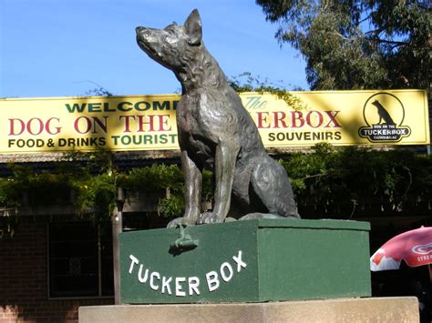 Dog On Tuckerbox