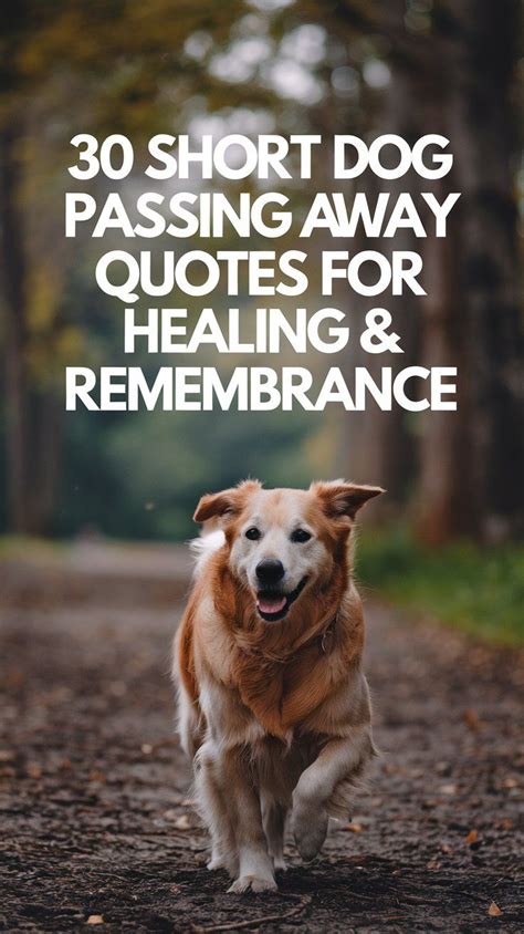 Dog Passing Away Quotes