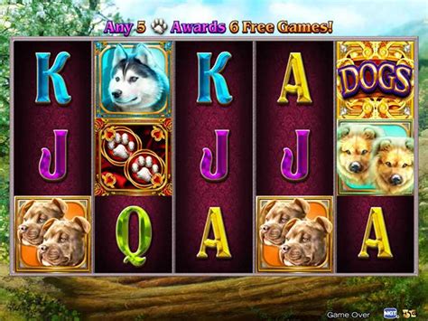 DOG SLOT 69：69 Dogecoins DOGE to United States Dollars USD today -