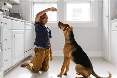 dog talk training your dog through a canine point