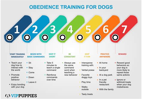 Dog Training Basic Obedience Lesson Plan