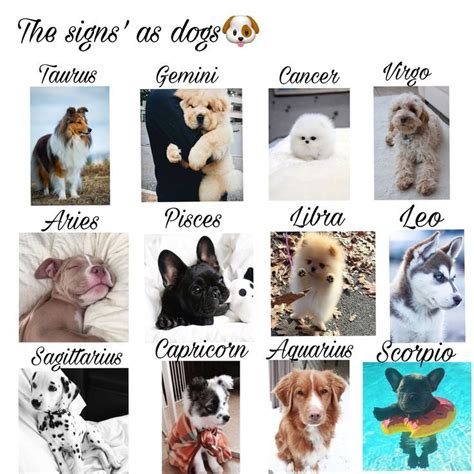 Dog Zodiac Compatibility Chart