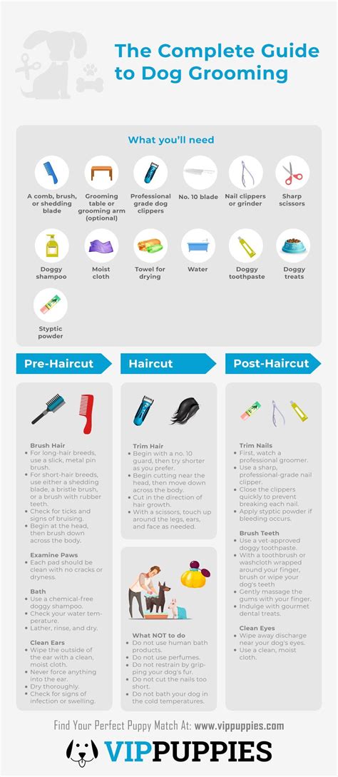 Full Download Dog Grooming Guide 