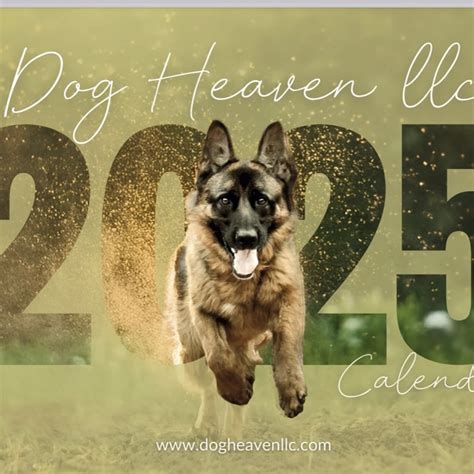 Read Dog Heaven 