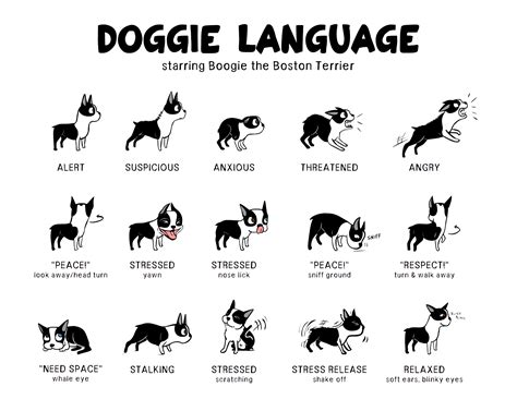 Full Download Dog Language 