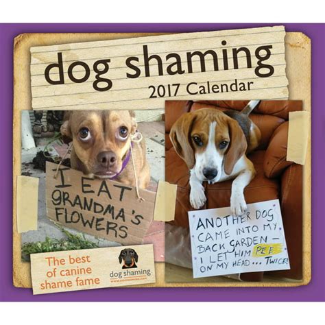 Read Dog Shaming 2017 Day To Day Calendar 