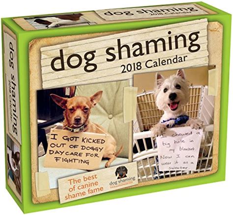 Download Dog Shaming 2018 Day To Day Calendar 