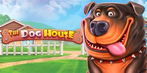 doghouse casino!