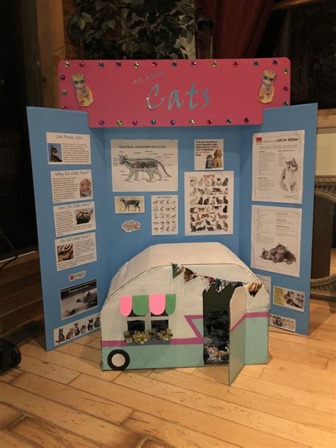 Dogs And Cats Science Fair Projects And Experiments Dog Science Experiments - Dog Science Experiments