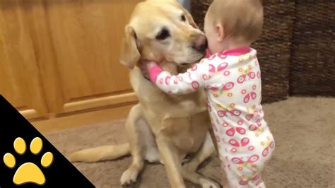 dogs and kids youtube