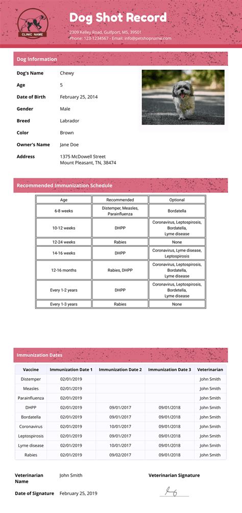 dogs lesson 3 test record form