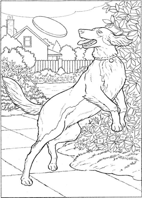 Full Download Dogs To Paint Or Color Dover Art Coloring Book 