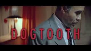 Dogtooth Streaming Ita