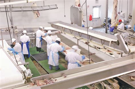 Read Dolcett Girl Meat Processing Blog 