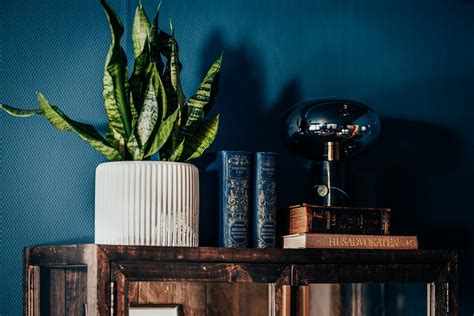 dold samaganderatt fast egendom