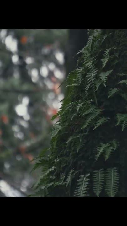 Instagram post by Reta Eichmann #5