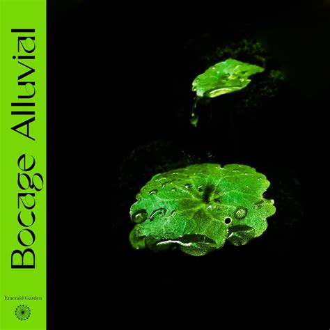 nature photo by Bridie Davis