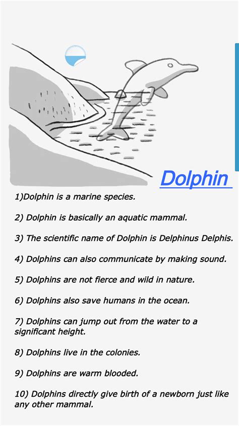 Dolphin Homework Help 10 Sentences About Dolphin - 10 Sentences About Dolphin