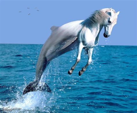 dolphin square horse