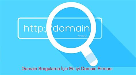 domain adı sorgulama 