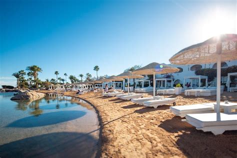 domina coral bay resort diving spa & casino!