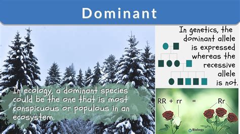 dominant definition