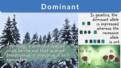 Dominant Trait Definition And Examples Biology Dictionary Dominant Science - Dominant Science