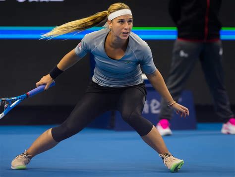 dominika cibulkova biography examples