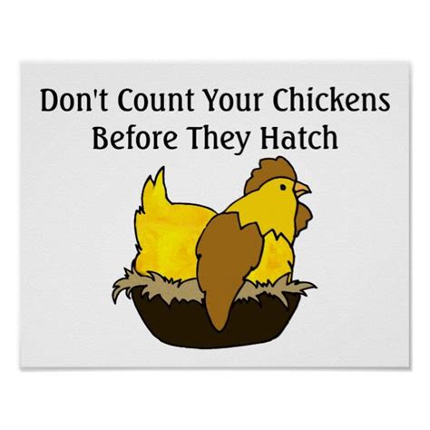 Don T Count Your Chickens Bird Quote Birds Dont Count Your Chickens - Dont Count Your Chickens