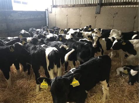 Done Deal Farming
