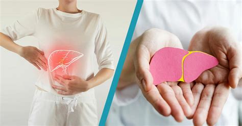 donera organ levande