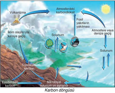 dongu nedir cografya