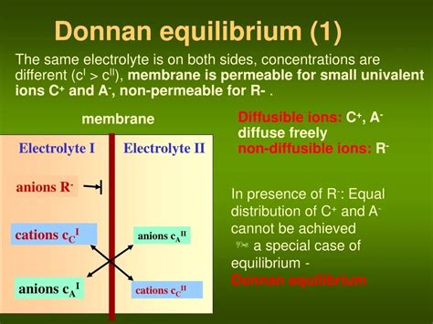 Donnan Membrane Equilibrium